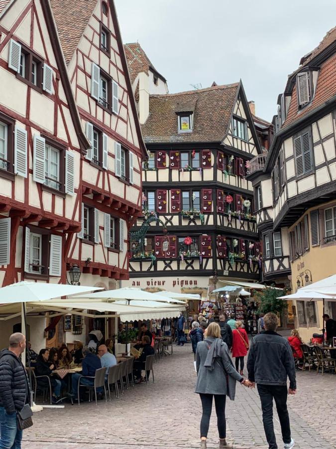 Historical Town Center Spacious Flat Colmar Exterior foto